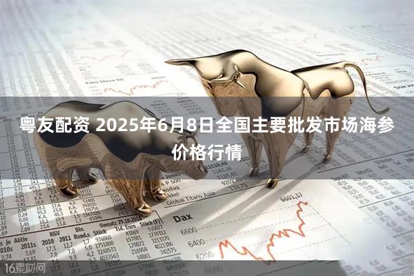 粤友配资 2025年6月8日全国主要批发市场海参价格行情