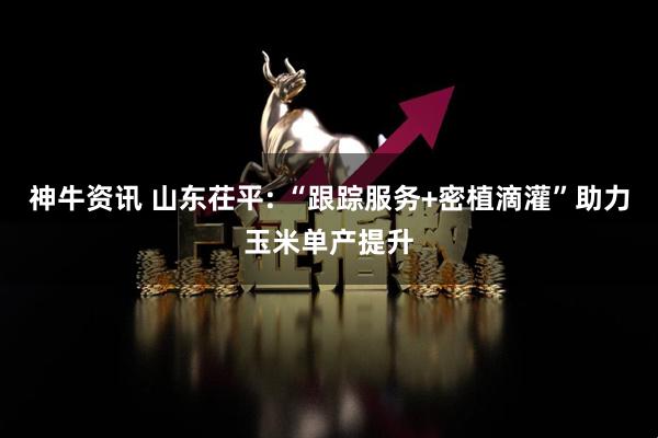 神牛资讯 山东茌平: “跟踪服务+密植滴灌”助力玉米单产提升