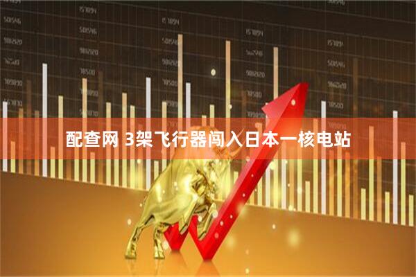 配查网 3架飞行器闯入日本一核电站