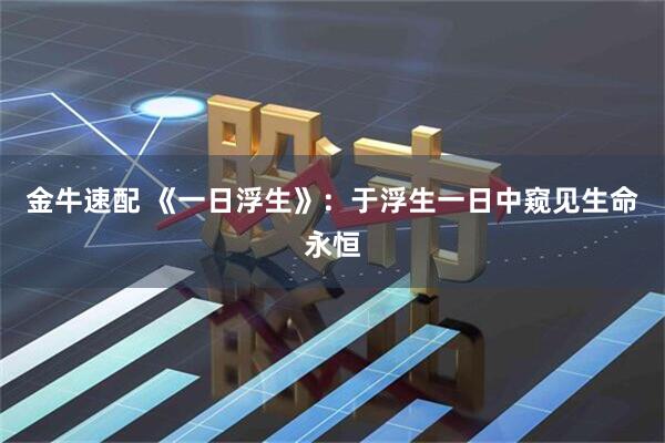 金牛速配 《一日浮生》：于浮生一日中窥见生命永恒