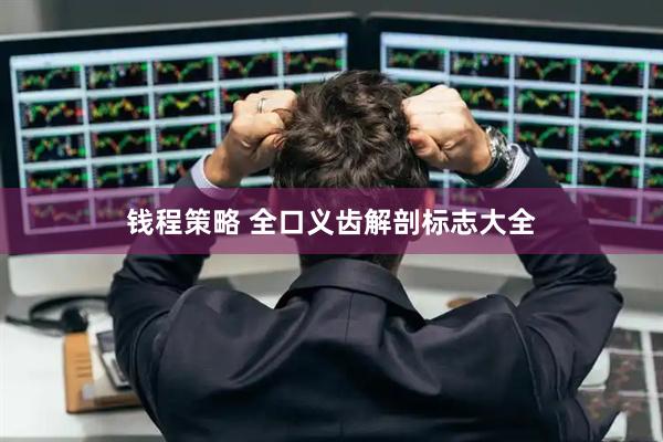 钱程策略 全口义齿解剖标志大全