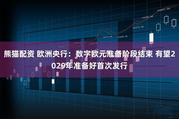 熊猫配资 欧洲央行：数字欧元准备阶段结束 有望2029年准备好首次发行